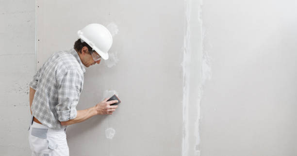 Best Mold Odor Removal Services  in Bonifay, FL